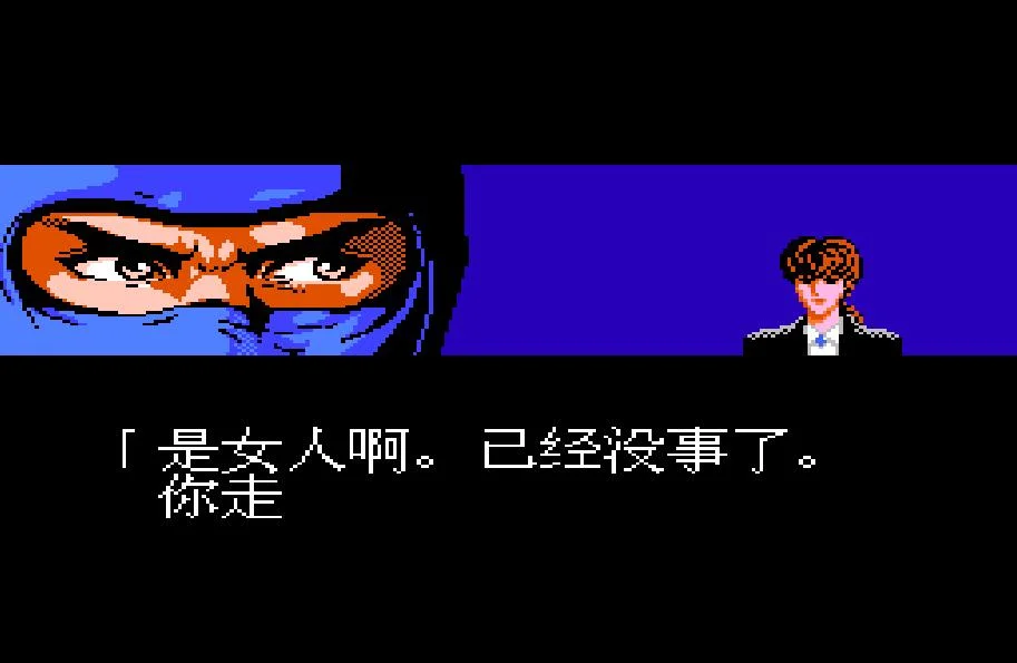 忍者龙剑传：邪神封印（中文版）
