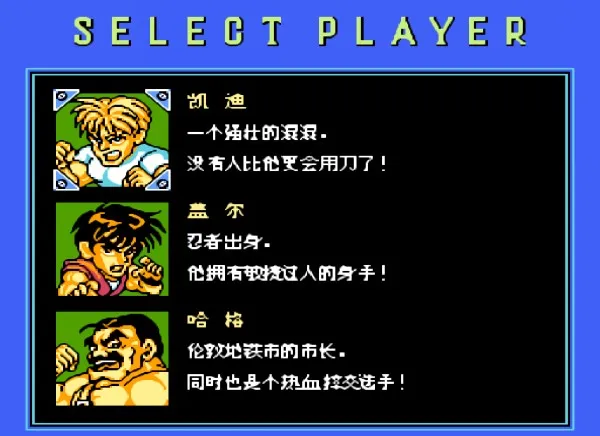 快打旋风 汉化版(整合VirtuaNES模拟器)