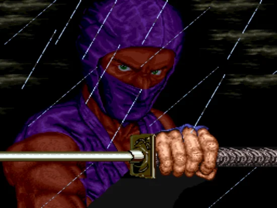 忍者龙剑传(整合Mame32 Plus模拟器)